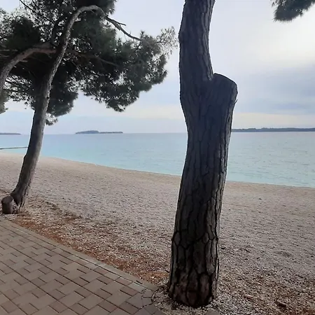 One Bedroom With Balcony And Sea View * פאז'אנה